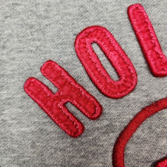 Vtg Y2k Hollister Hoodie Mens M Applique Lettering Spellout Embroidered Surfing - Picture 3 of 8